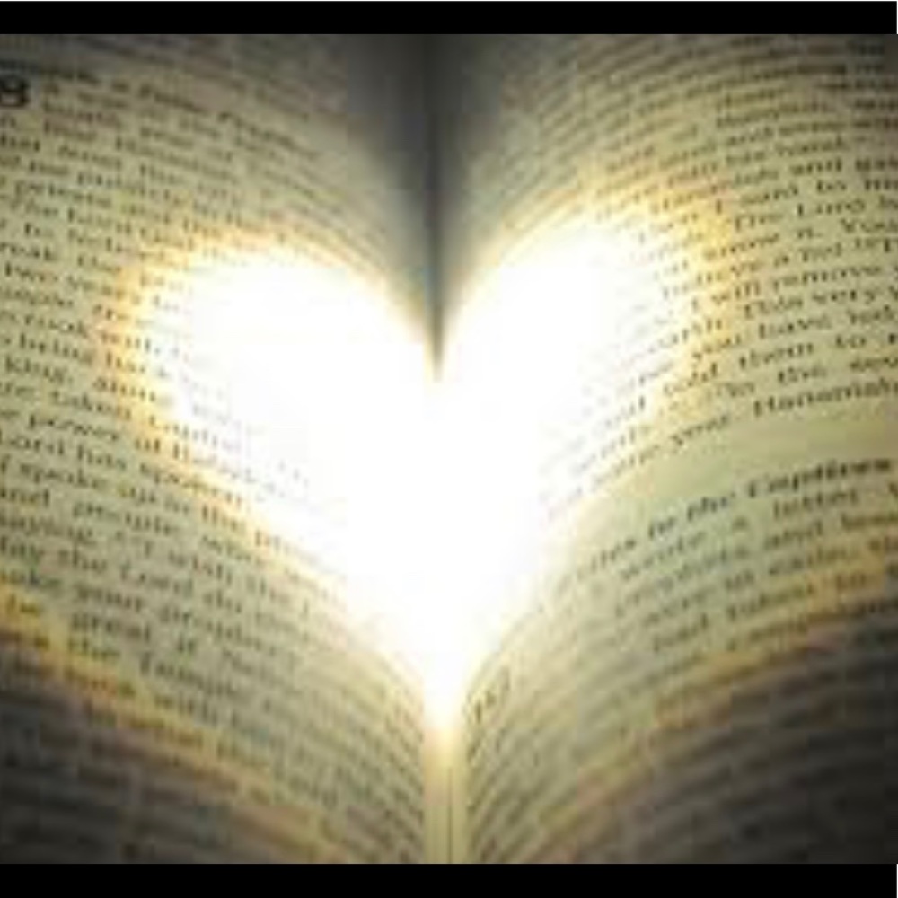 Meet your Posher, Paulette